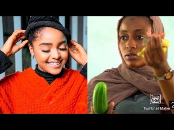 Exploring Dogon Gindi Hausa Novel: A Comprehensive Guide